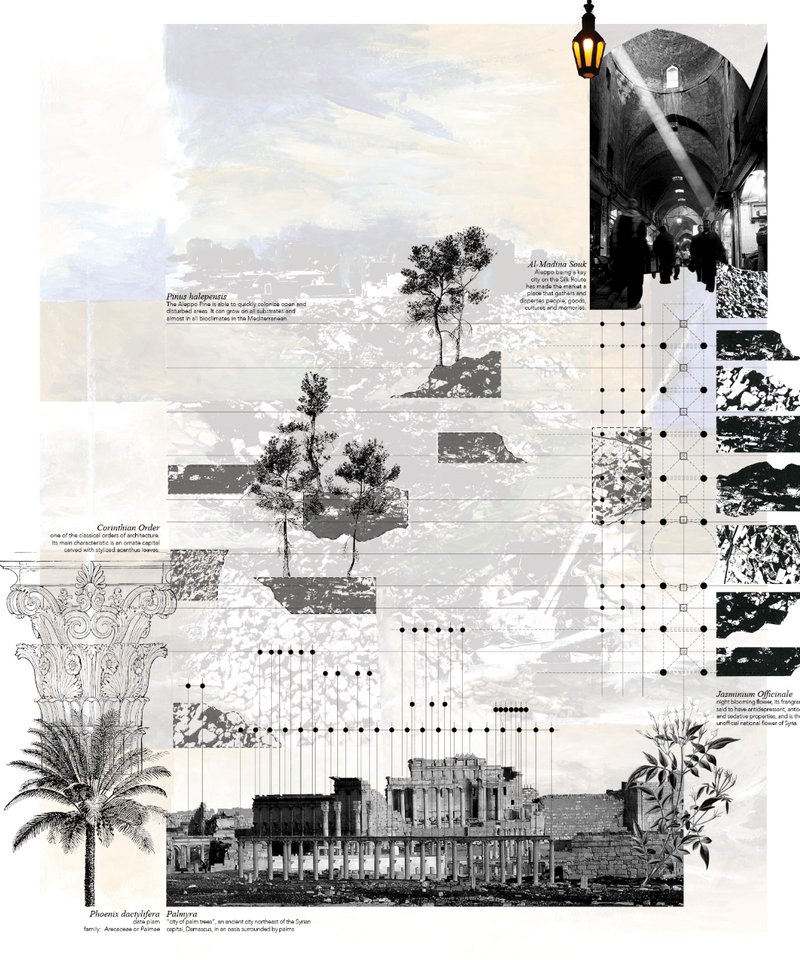 Architectural fragments and botanical studies reframe Syria’s historical landscapes through resilient design.