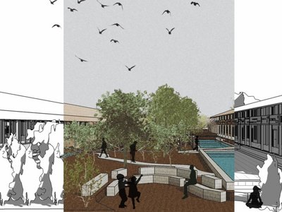 sprout - line | collective flourishing