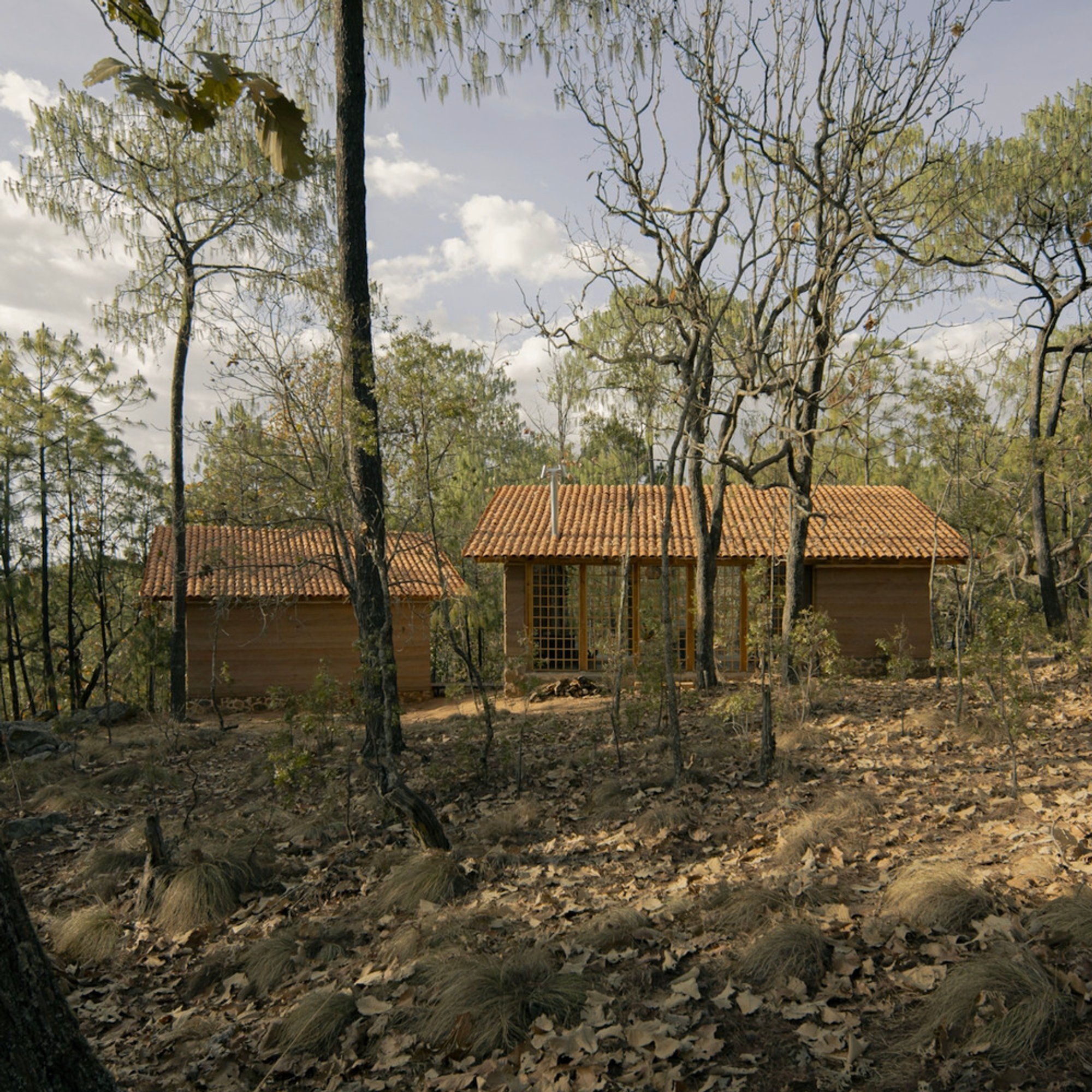La Luciérnaga House: A Sustainable Forest Retreat by uno más uno + Moro Taller de Arquitectura