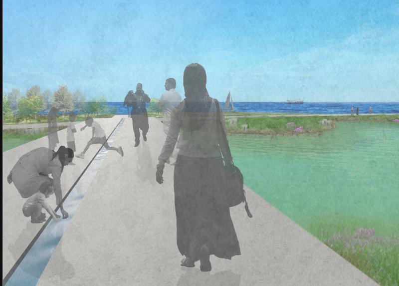 A central water channel invites touch and play, linking sensory engagement with natural wetland systems.