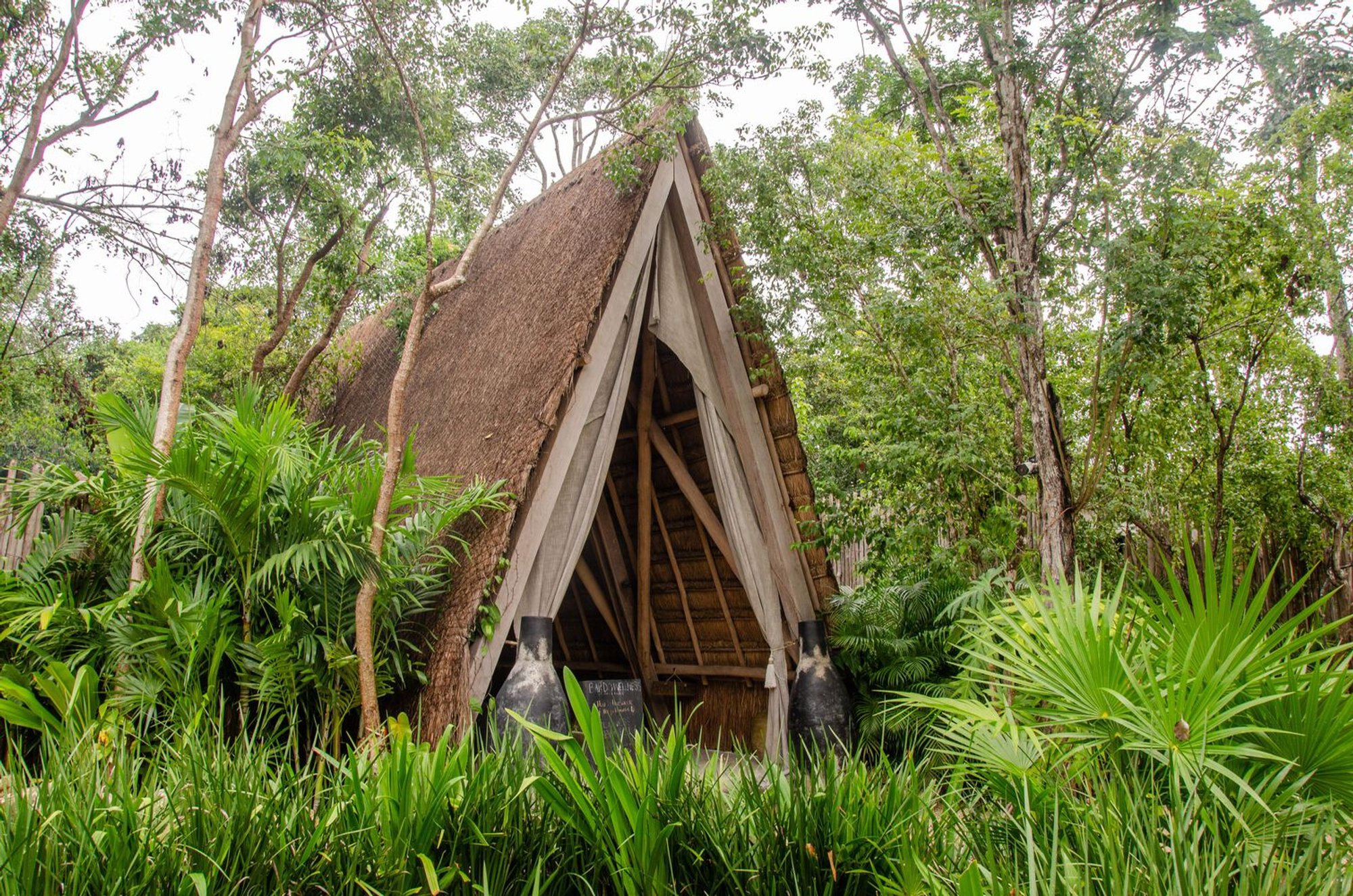 Hotel Bardo by Taller de Arquitectura Viva: A Sanctuary of Conscious Design in the Mayan Jungle