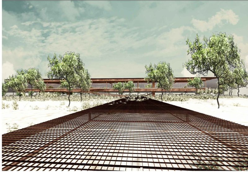 Linear path and native trees lead toward the open framework of the Walk&amp;Talk Hub, emphasizing site integration.