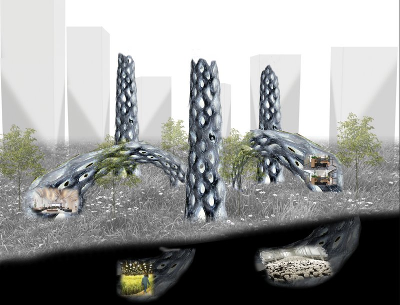 Branching roots above and below ground create multifunctional, sustainable environments for agriculture, habitat, and energy.