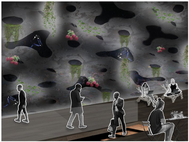 Futuristic interiors bloom with berries, vines, and robots—spaces designed for productivity, nourishment, and connection.