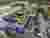 Schwalbe Hybrid Building by Archiproba: A Pioneering Cradle-to-Cradle Workplace for the Future of Sustainable Industry