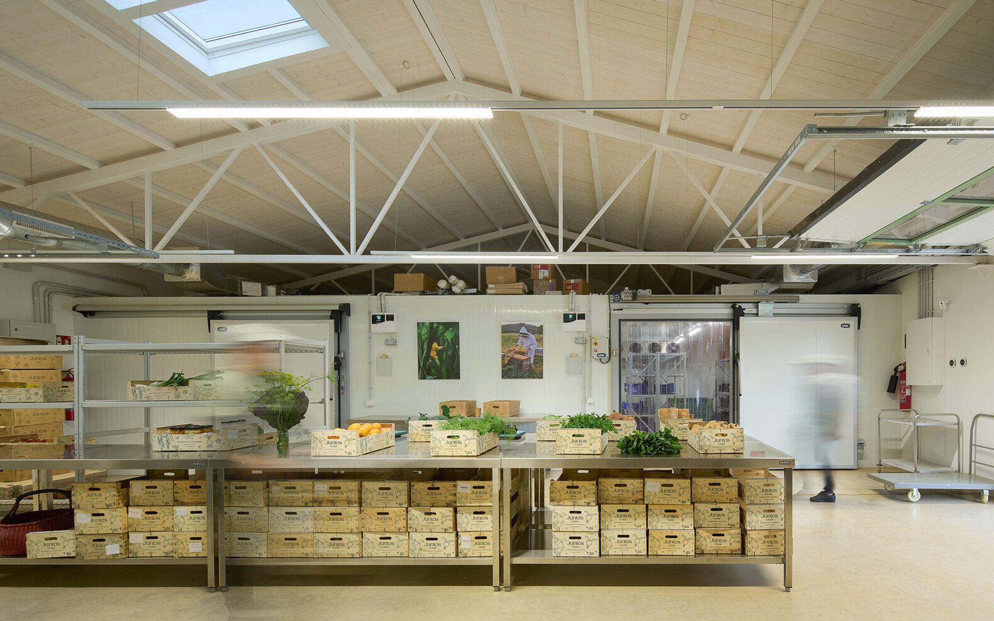 House of Harvest by Frayn Studio: Adaptive Reuse Architecture for Regenerative Food Systems