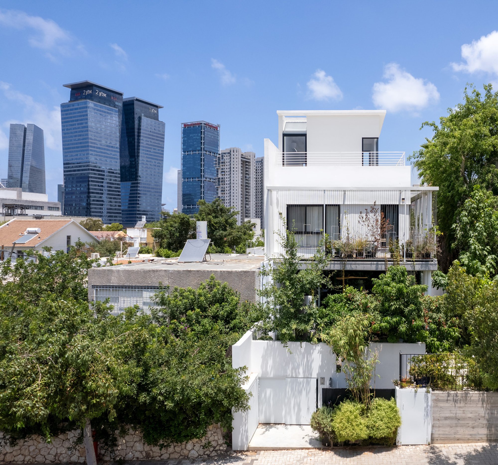 D House by Lavan Architects: A Narrow Plot Transformed into a Lush Urban Oasis in Tel Aviv