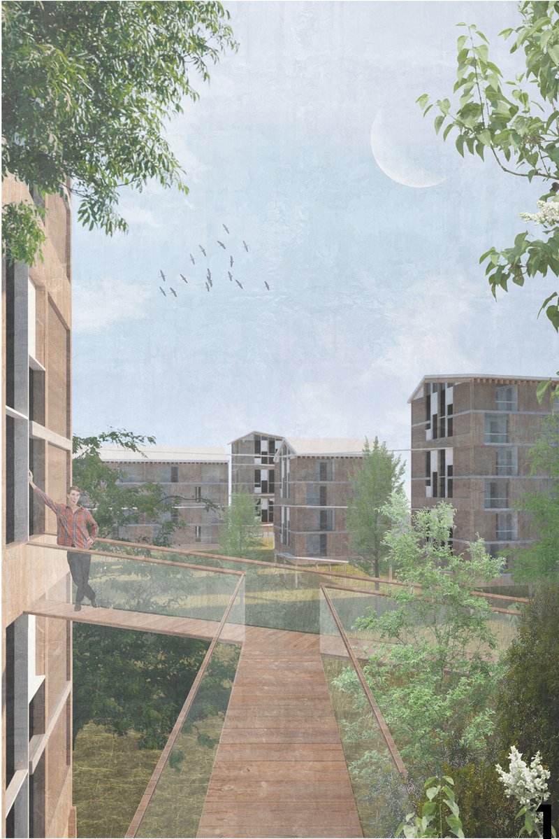 Aerial view of timber skywalks weaving through nature and built modules.