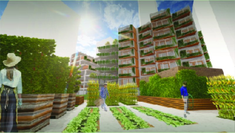 Residents interact with productive green spaces that support urban agriculture and food resilience.