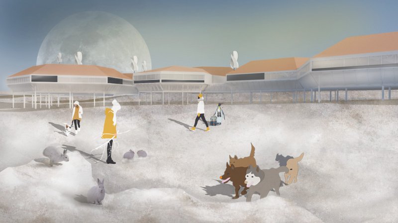 Elevated modules coexist with Arctic wildlife, creating a resilient community adapted to polar conditions.