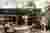 NOEMA Bar and Restaurant by K-Studio + Lambs and Lions