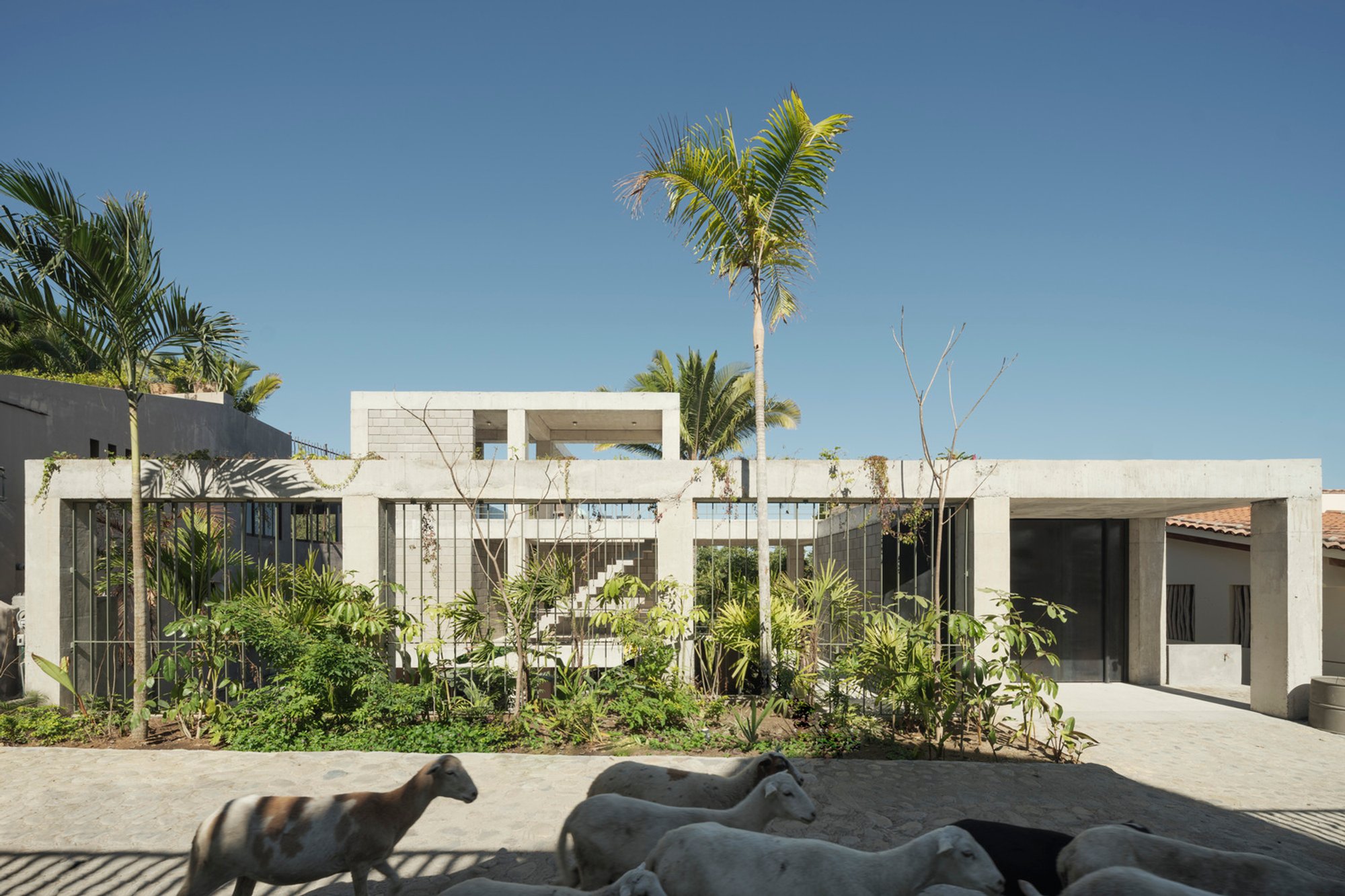 NICO Sayulita by Hybrid + PALMA: A Seamless Fusion of Architecture, Nature, and Hospitality on Mexico’s Pacific Coast