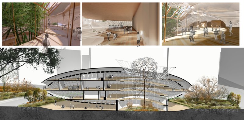 Interior and sectional view showing biophilic design, soft lighting, and a naturally ventilated learning environment for children.