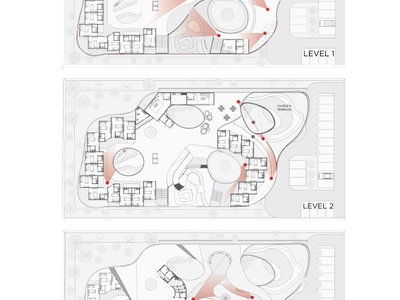 "Lorem Ipsum" Hospice Curve Diagram