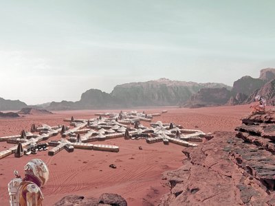 THE MARTIAN LICHEN
