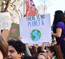 Harold Demetrios work 4