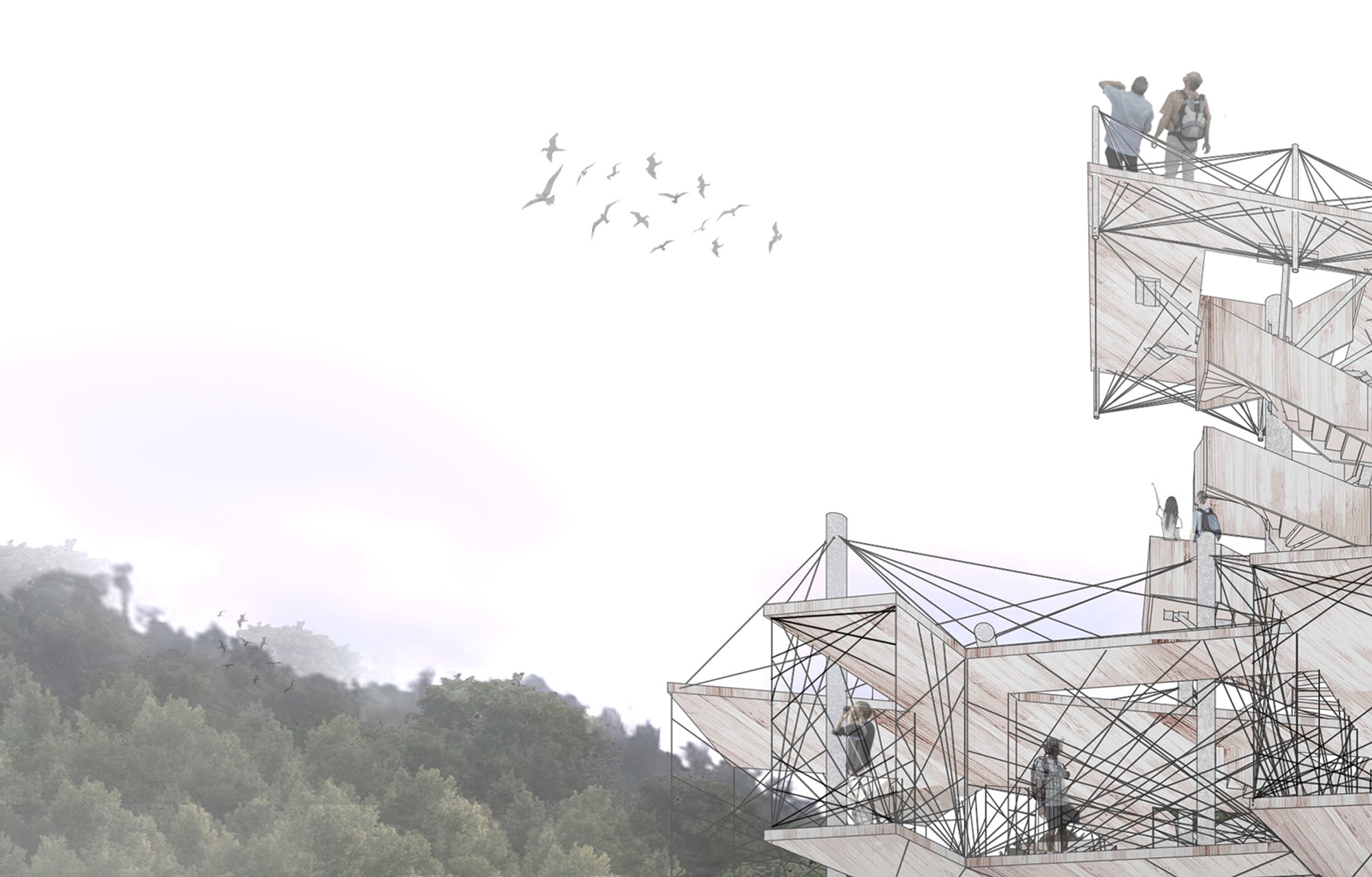 Through the Eyes of Nature