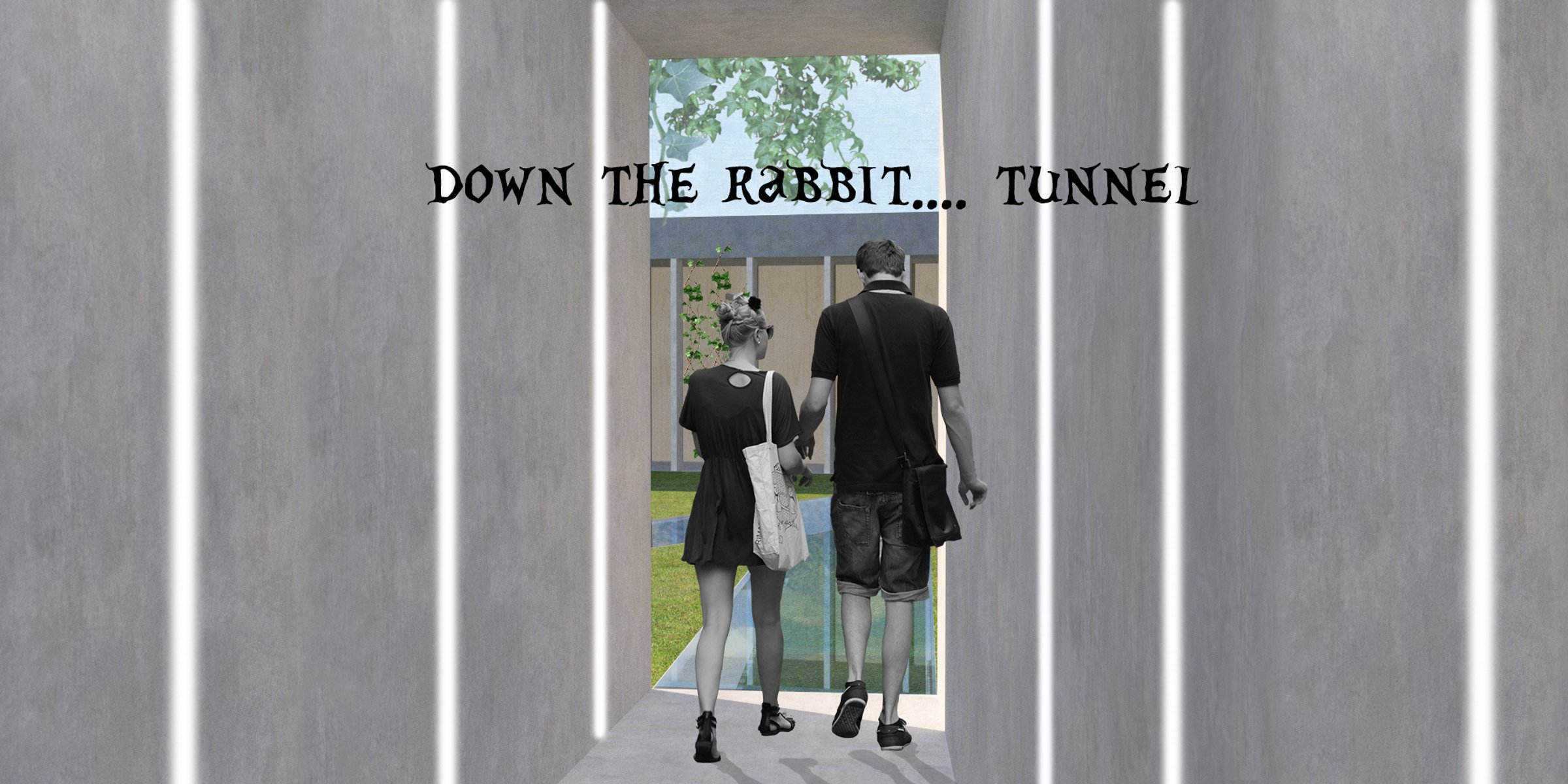 Down to rabbit.... tunnel !