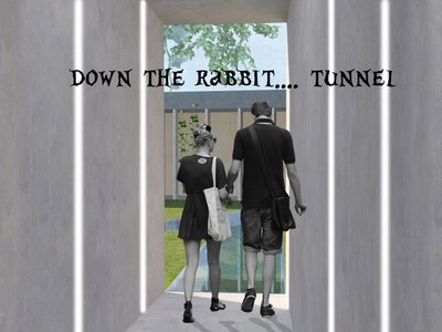 Down to rabbit.... tunnel !