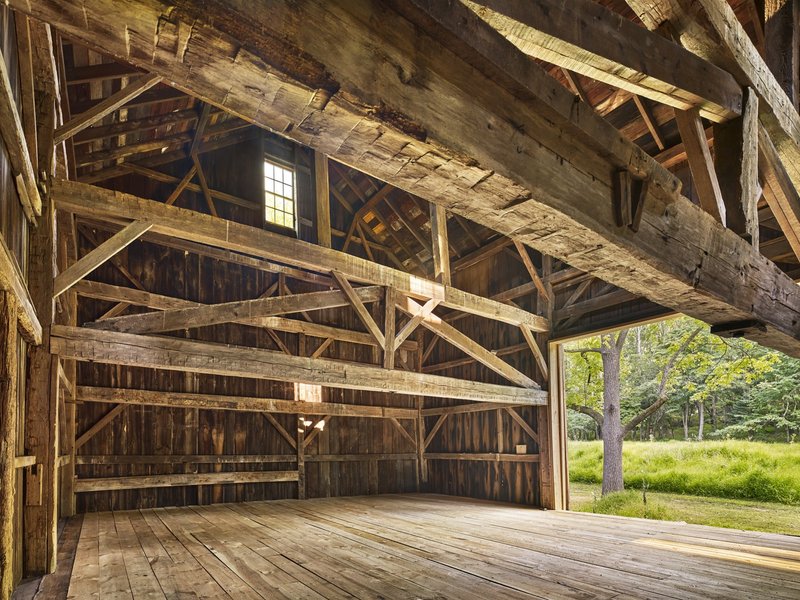 Interior view of exposed timber framing and diagonal bracing with views to the landscape beyond