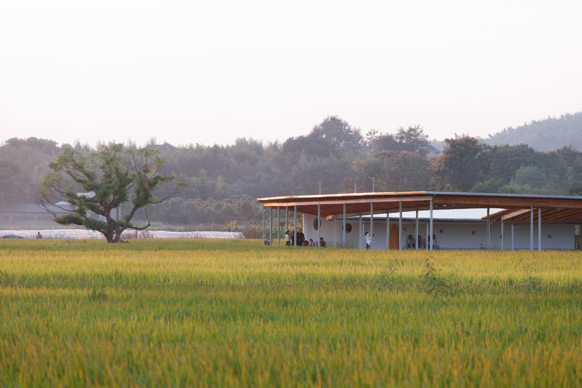 Studio Dali Architects Wraps an Agricultural Lab Around a Curved Courtyard in Yuhang's Rice Fields