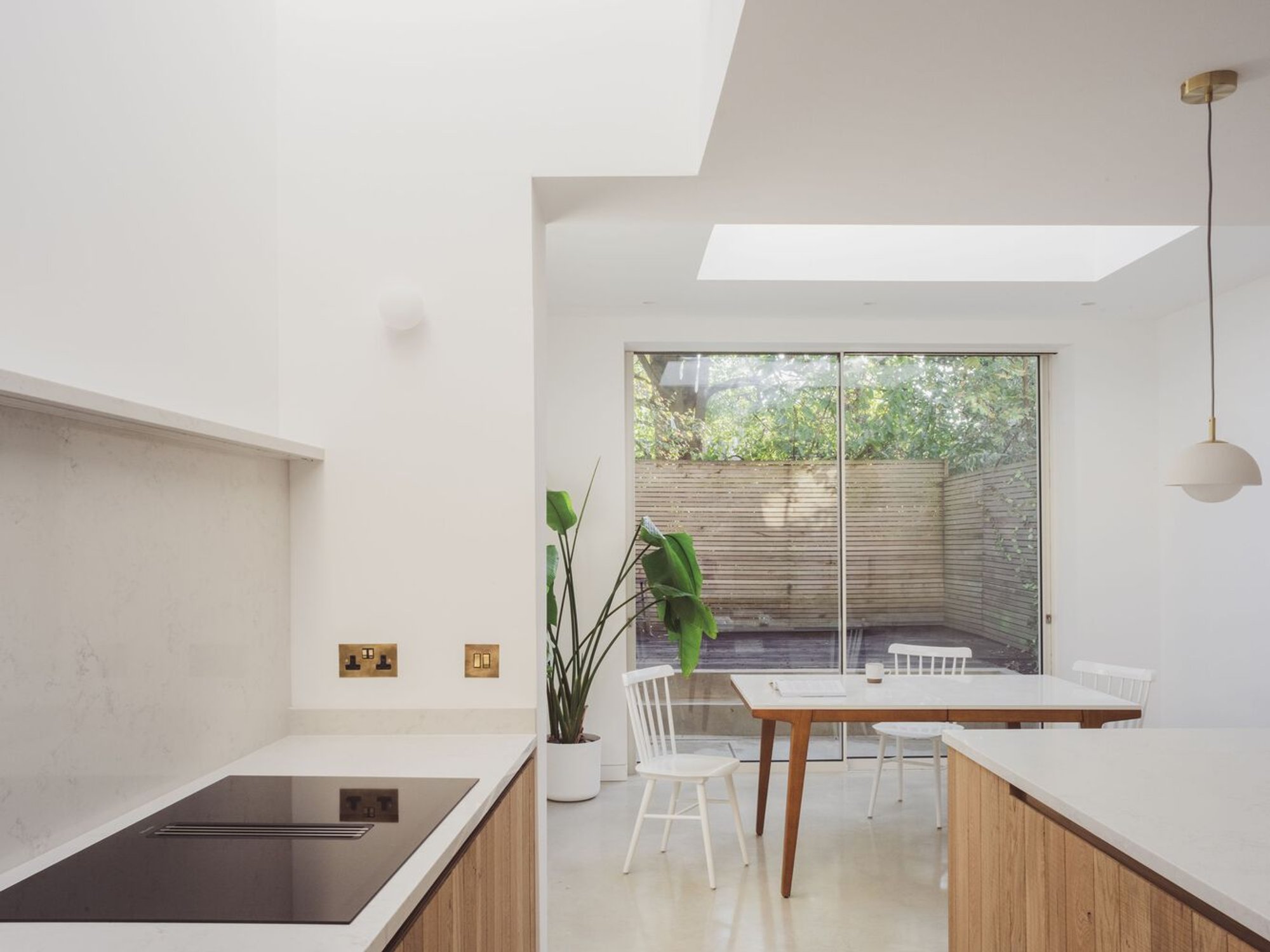 Falkland Road House Extension Design: A Harmonious Blend of Light, Space, and Nature