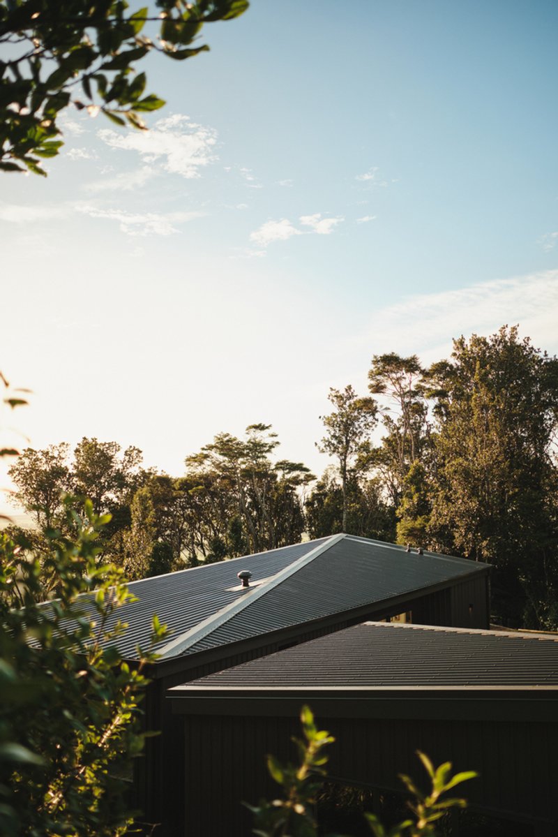 Dark corrugated metal roof emerging from dense tree canopy under afternoon sky with scattered clouds