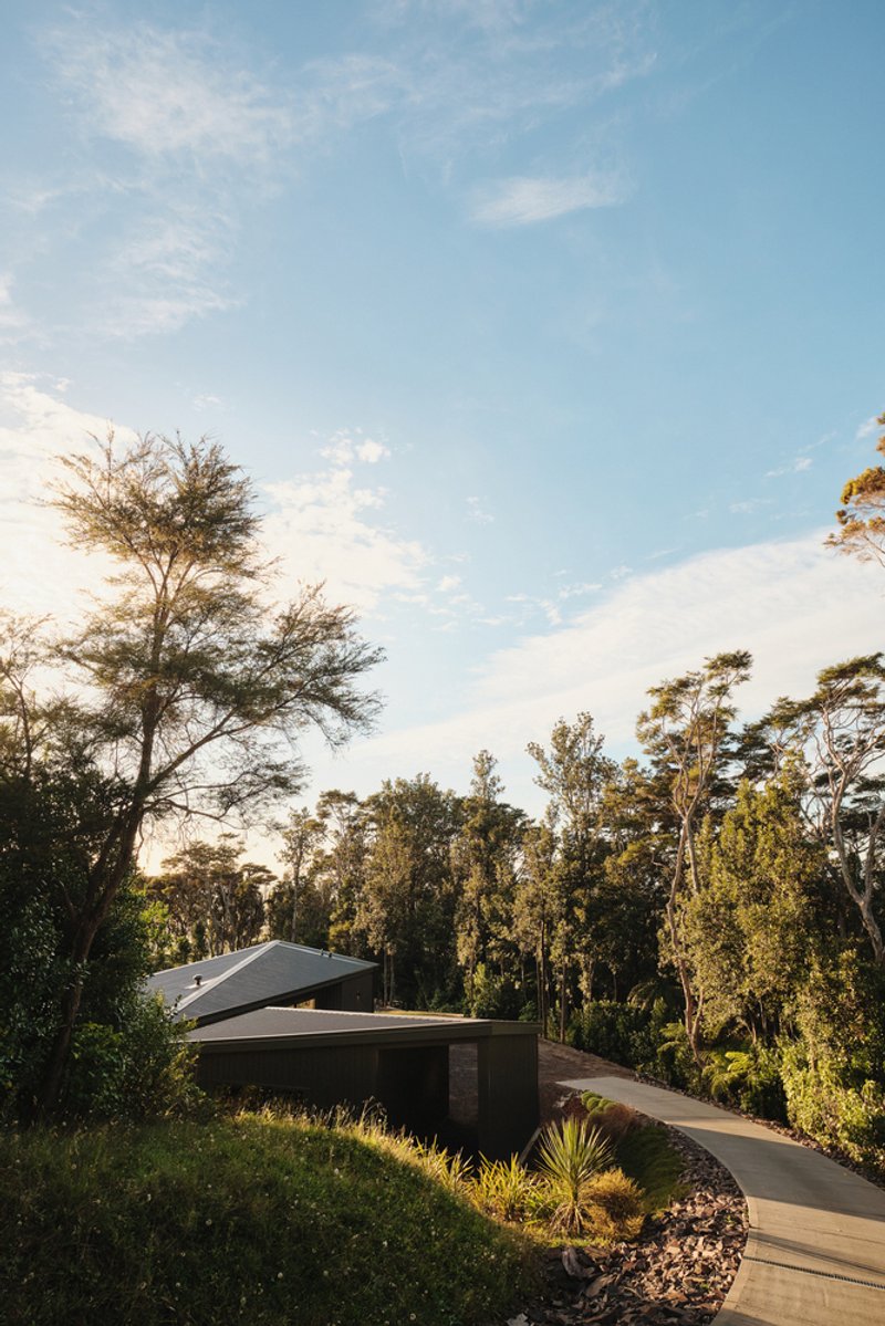 Gabled roof volumes set within planted hillside landscape at dusk with native trees framing view