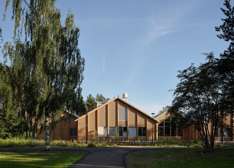 Timber-clad gabled volume with vertical slat facade and glass openings set among birch trees in late afternoon light