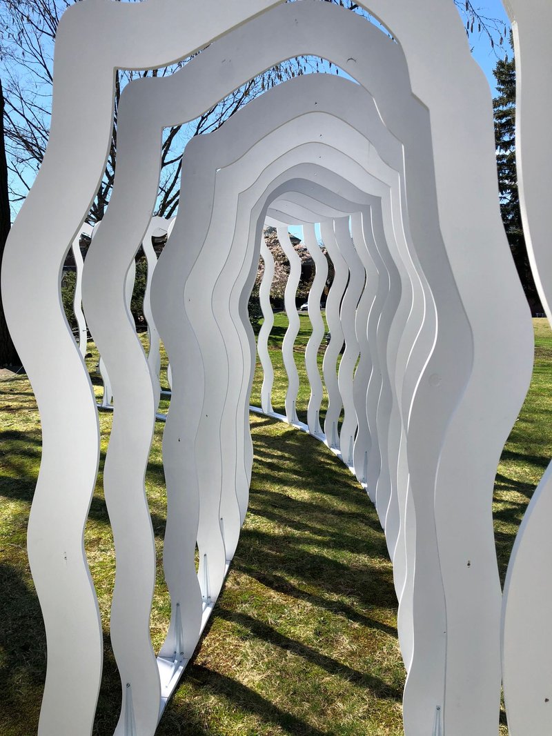 A mesmerizing parametric tunnel, where fluid forms and light interplay to create an immersive architectural experience