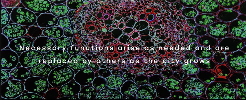 Dynamic Urban Adaptation – A visual representation of how functions evolve within the growing city infrastructure.