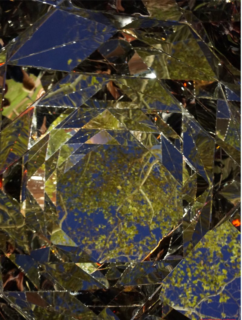 Mirrored Vision – Captivating reflections within the intricate mirrored panels.