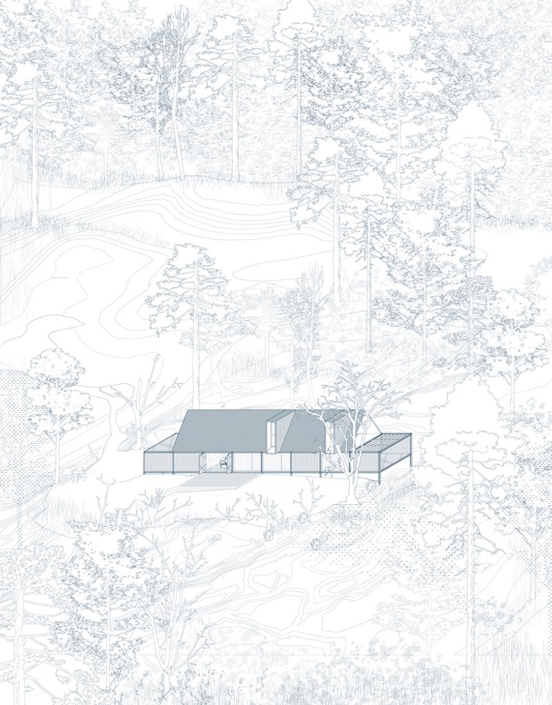 Elevation drawing showing the angular roof volumes set in a wooded hillside with topographic contours