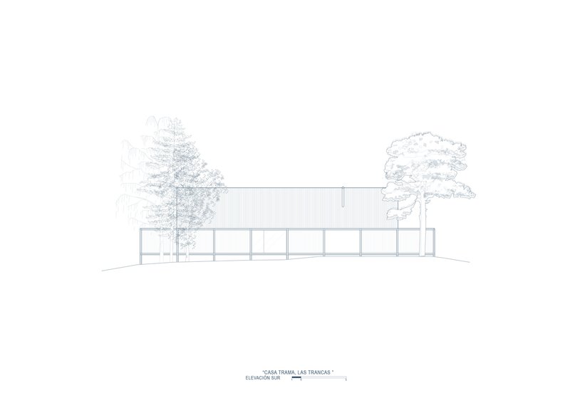 Elevation drawing of a low glazed volume flanked by two trees on a sloped site