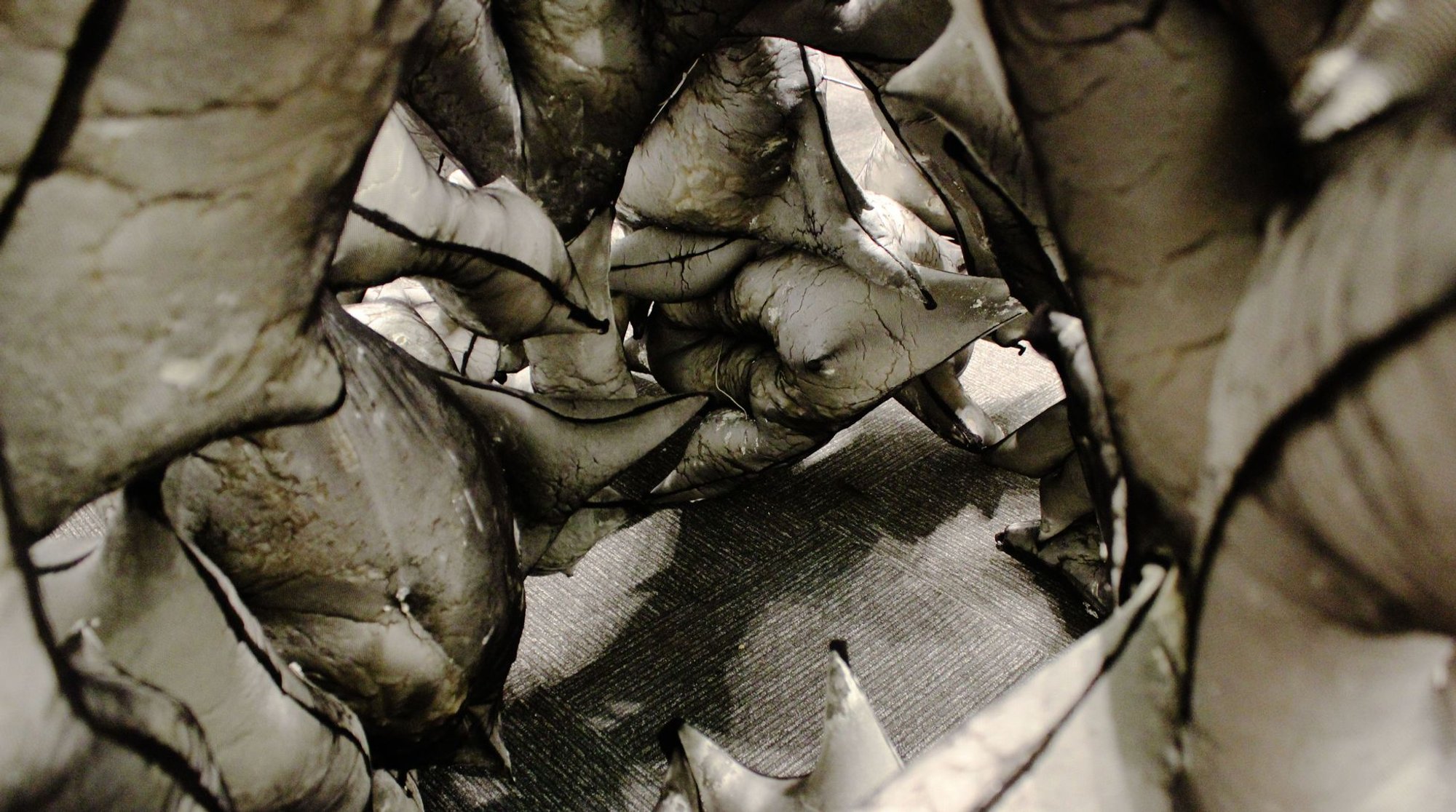 Timeout: A Vision in Parametric Architecture