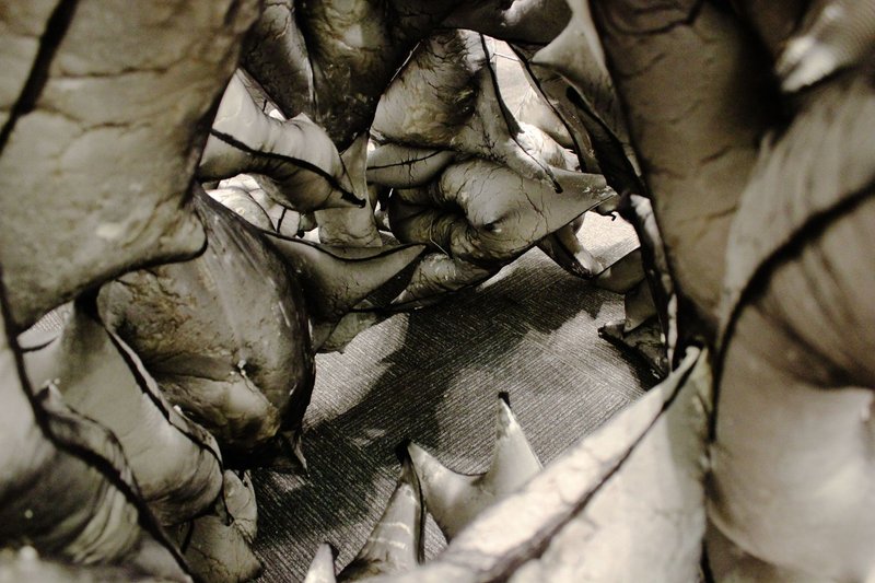 Interior Space – A look inside the structure’s cavernous, organic interior.