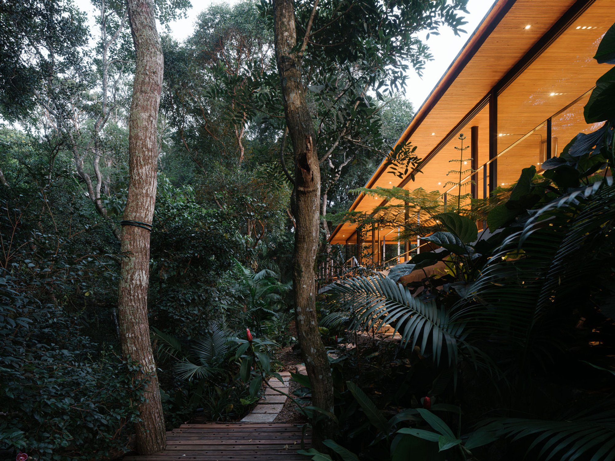Cornetta Arquitetura Lifts a Timber Pavilion into the Atlantic Forest Canopy in São Roque