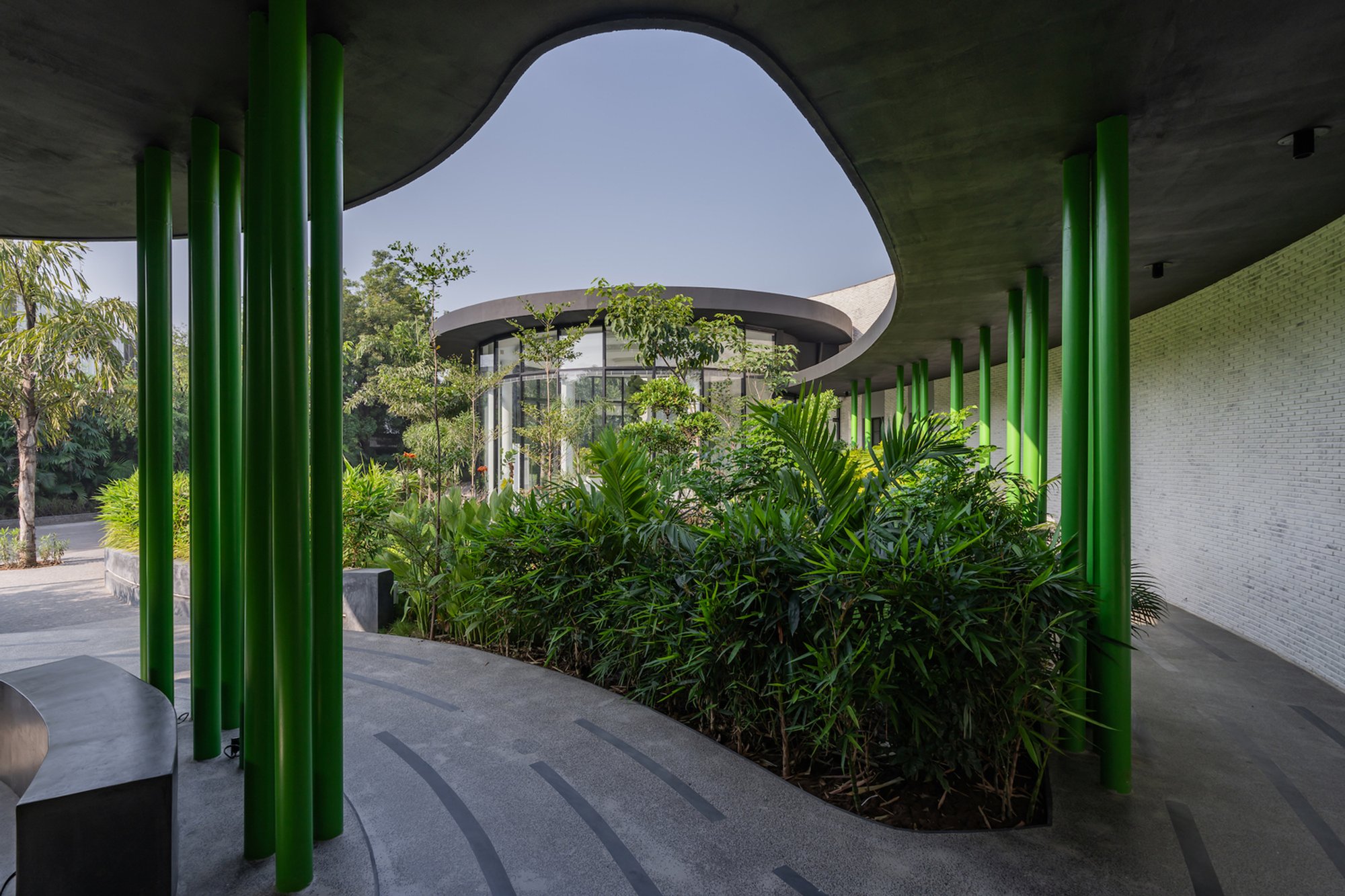 Biophilic Office Design: Whispering Curve Office by Ace Associates