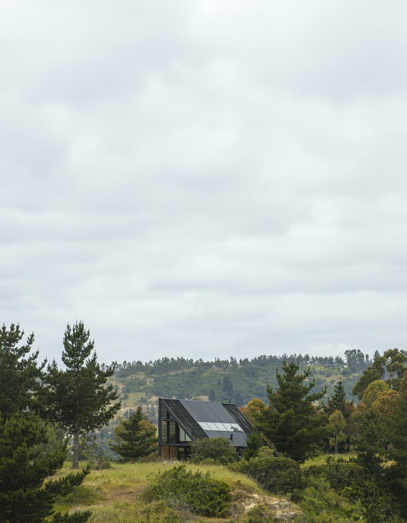 Side elevation of the dwelling with angled roof and louvered screens amid scrubland and pine trees