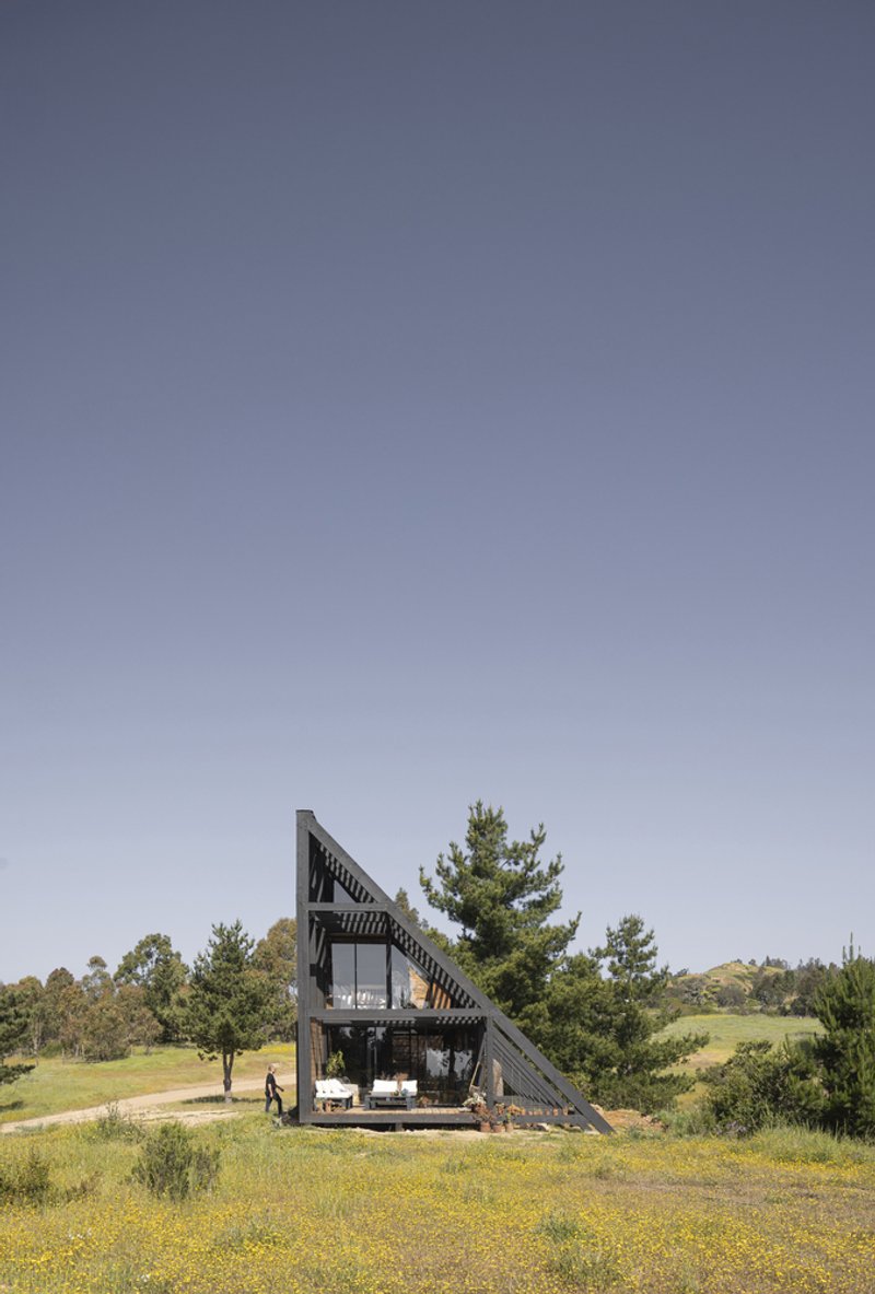 A-frame cabin with triangular glazed facade framed by pine trees and wildflowers in daylight