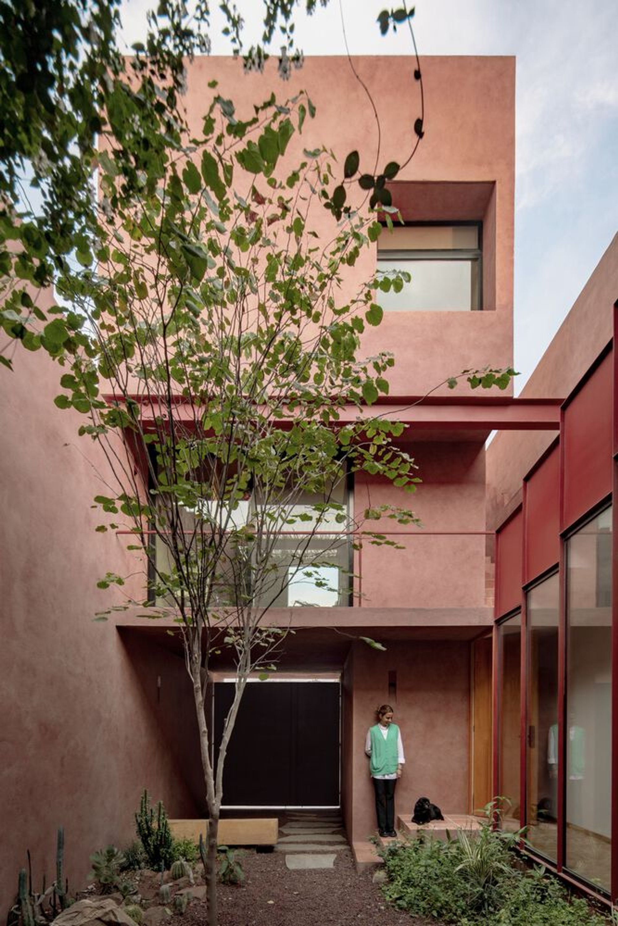 Práctica Arquitectura Carves a Vivid Courtyard House from a Five-Meter-Wide Lot in Monterrey