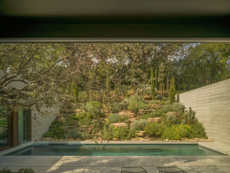 View from beneath the poolside overhang toward the terraced landscape with scattered pine trees