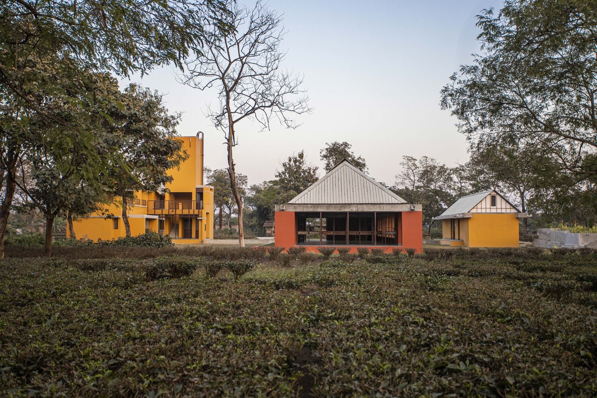 Thumbimpressions Builds an Educational Campus from Adobe and Bamboo in Bihar's Tea Gardens