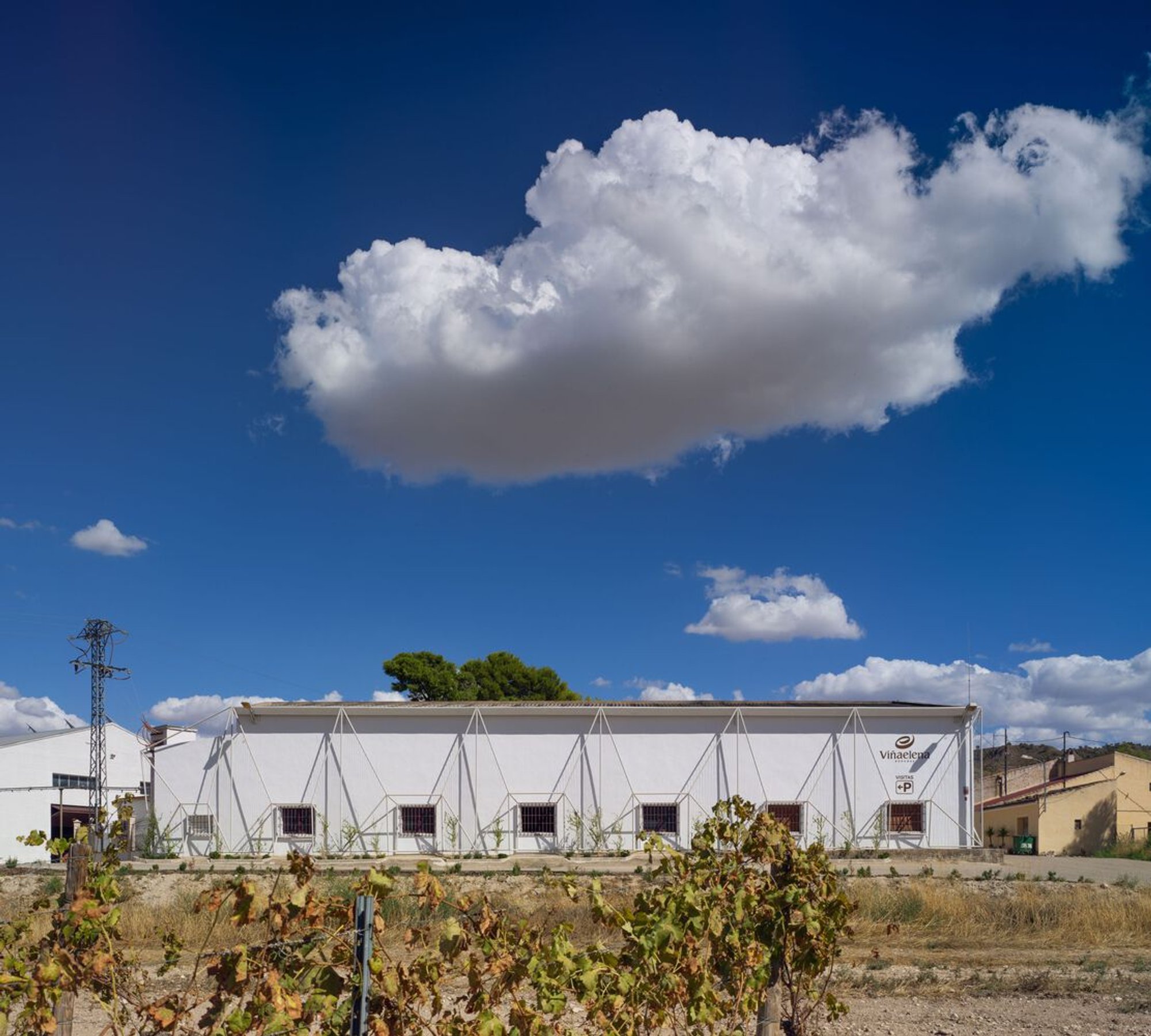 Viña Elena Winery: A Fusion of Heritage and Contemporary Architecture
