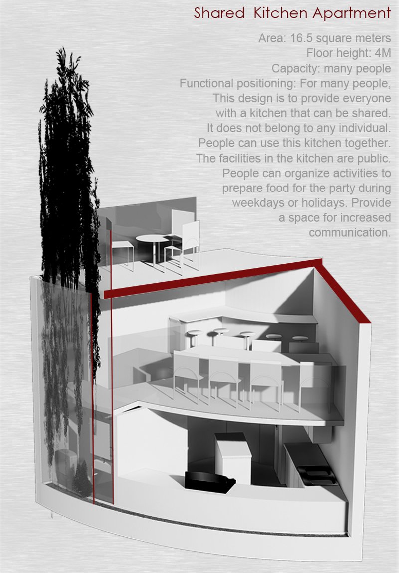 Shared Kitchen Apartment – A modern culinary space that enhances shared living experiences.