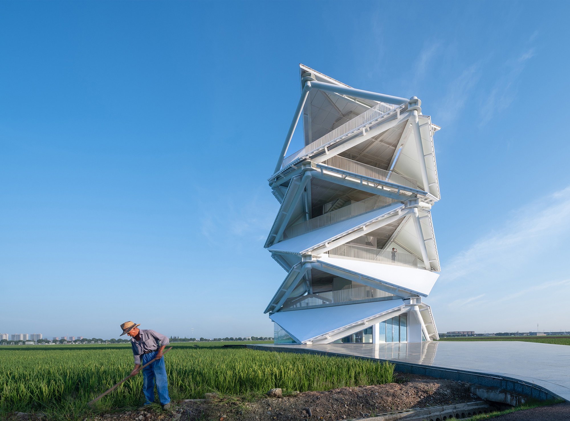 The Lantern in the Paddy Field: A Harmonious Blend of Architecture and Nature