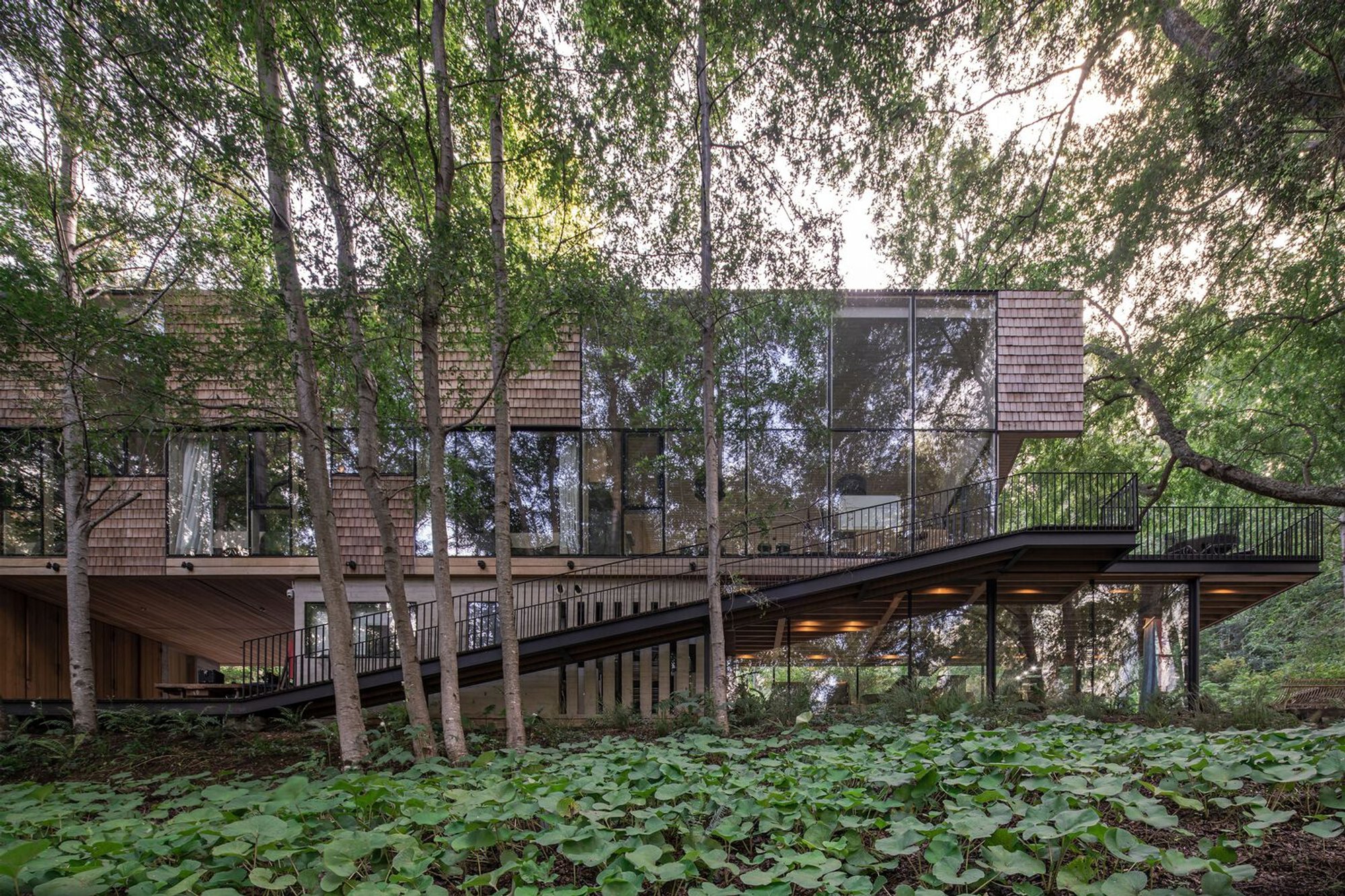 Maytue House: A Harmonious Blend of Architecture and Nature