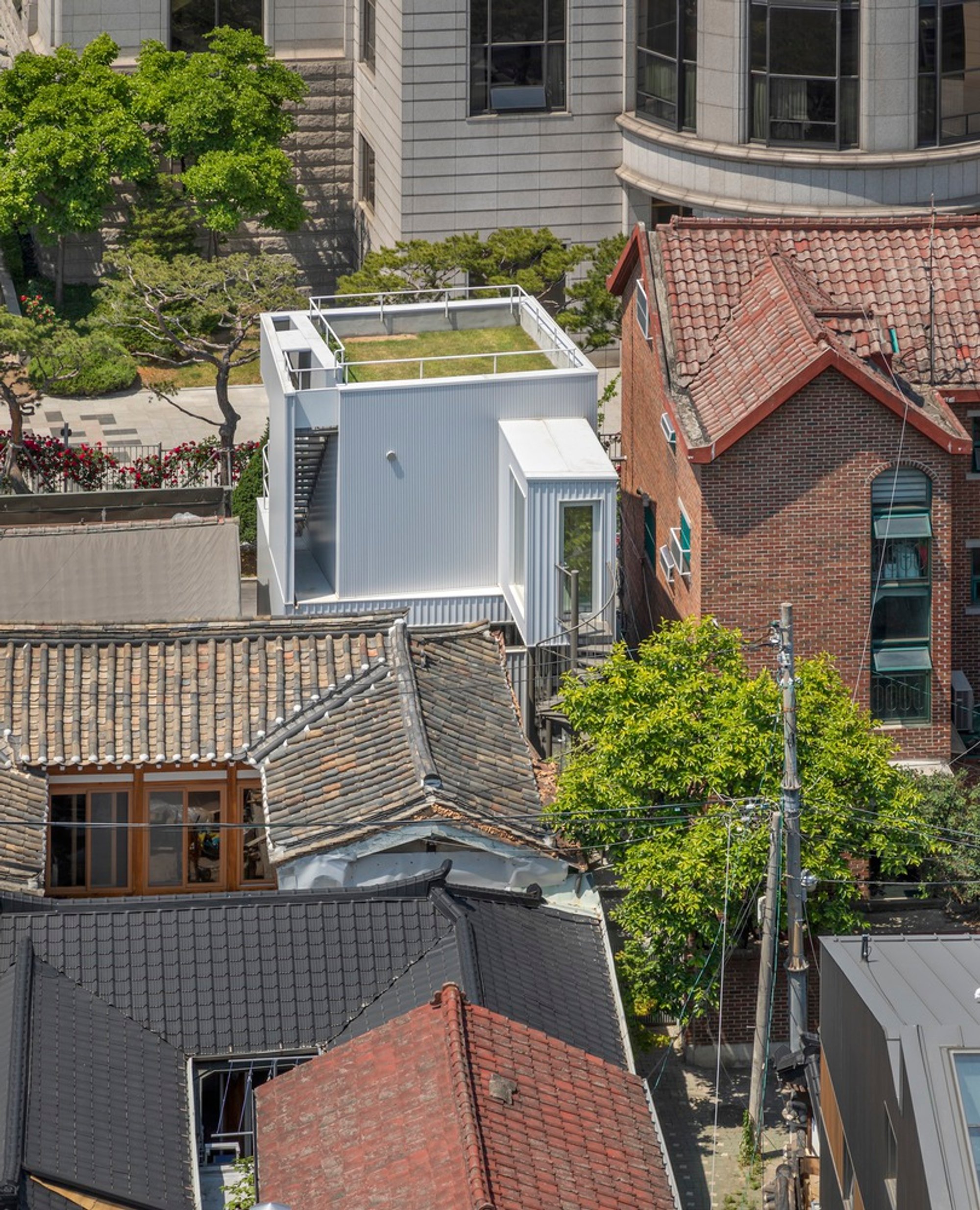 Tiny Forest House: A Compact Architectural Marvel by YounghanChung Architects