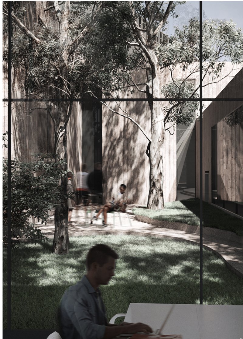 Seamless Connection with Nature – Integrating indoor and outdoor spaces for a harmonious learning environment.