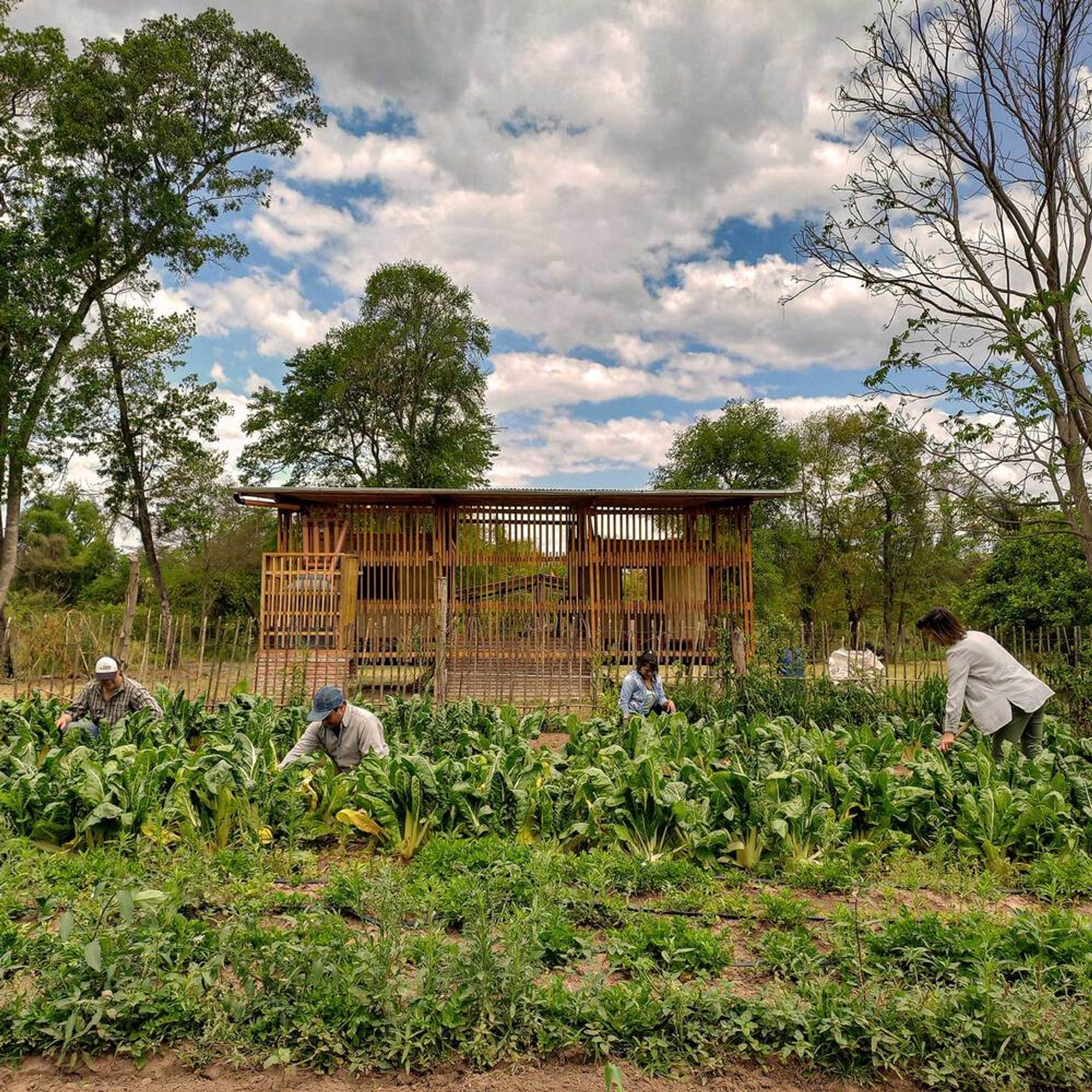Community Added Value Center by CIMBRA: A Sustainable Approach to Vernacular Architecture